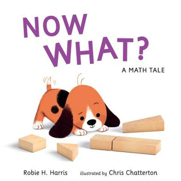 Now What? A Math Tale (Hardcover)