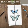 thumbnail image 4 of Insect Specimen Tools Kit, Butterfly Specimen Tools for Classroom Teaching, Including Insect Display Cases, Thin Tracing Papers, EVA Foam Pinning Boards, Insect Pins for Bugs Collection, 4 of 7
