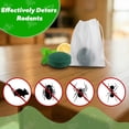 thumbnail image 3 of MouseRepellent, Peppermint Oil RodentDeterrent for Mice, Rats, Plant-Based Pest Control, Long-Lasting Mint Scent, Safe for Home, Garage, Storage, RV & Garden, 3 of 6