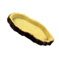thumbnail image 3 of Comedero de resina para reptiles, comedero para tortugas, comedero para lagartos, comedero para acuario., 3 of 7