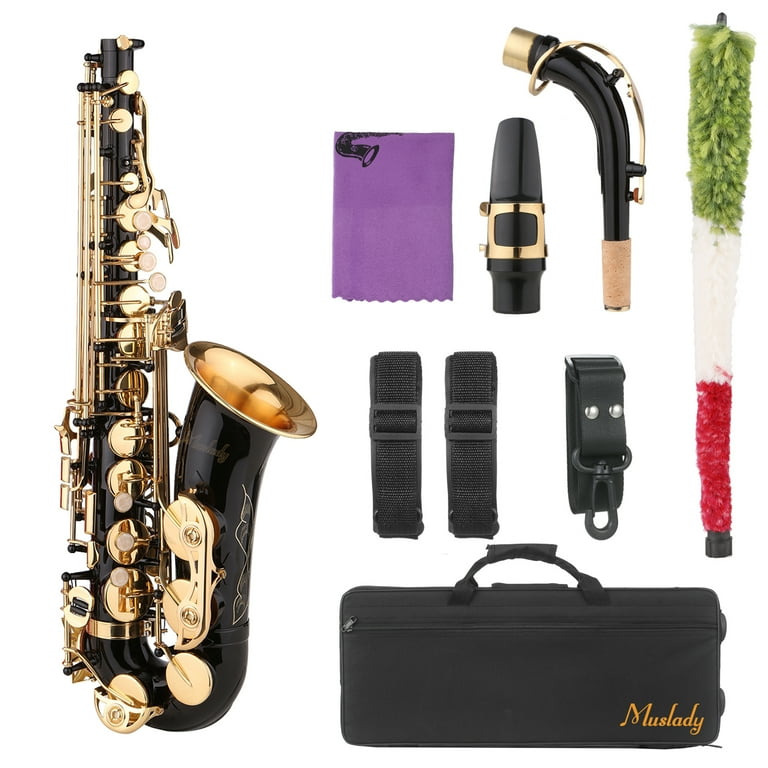 Muslady Saxophone Black Paint E flat Sax for Beginner Student Intermediate Player Brass Eb Alto Saxophone with Mouthpiece Carrying Case Cleaning Cloth