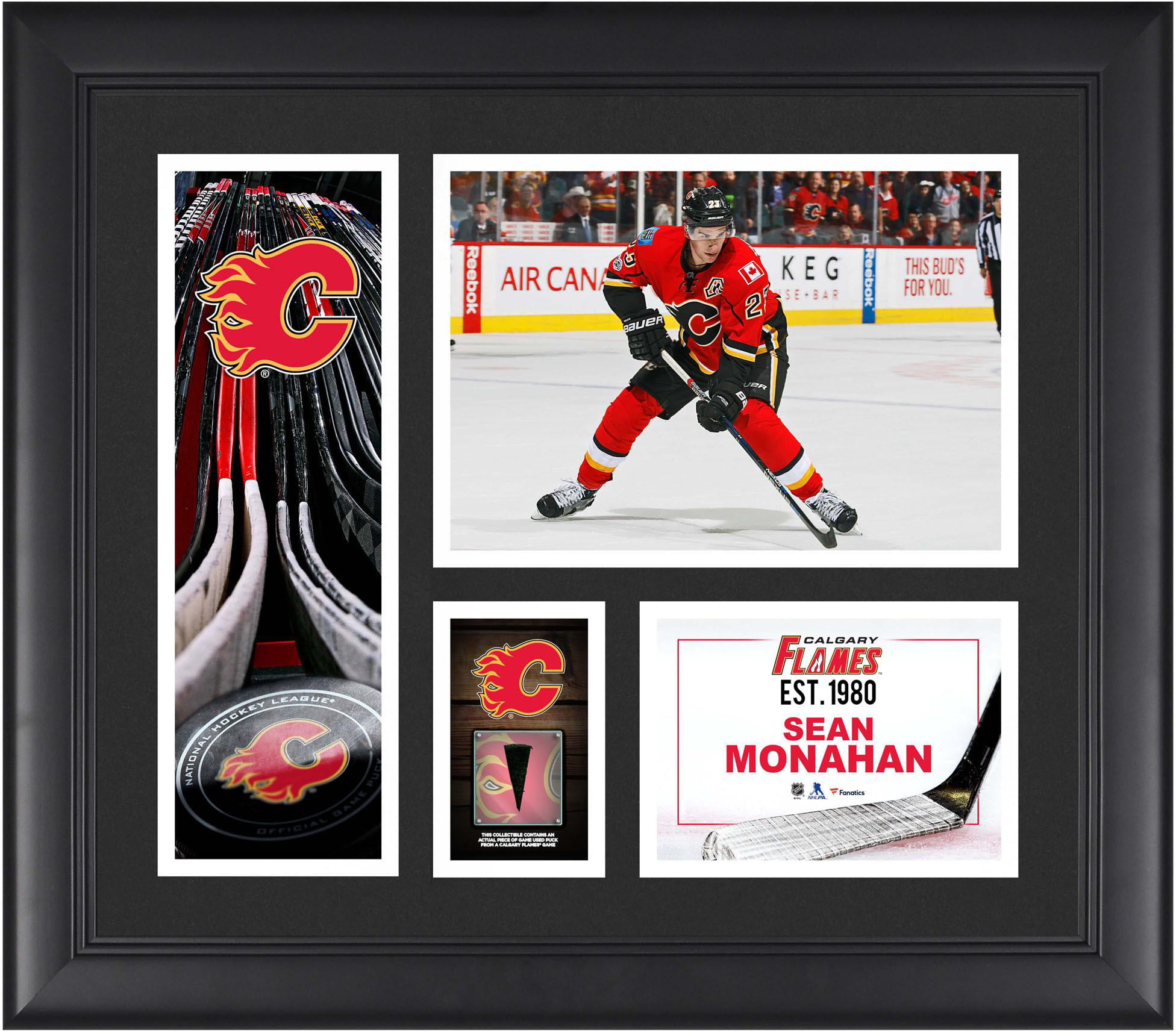 Inglasco Calgary Flames Team Mascot Harvey The Hound Collector's Puck w/NHL Display Case 