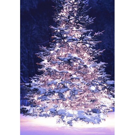 Solar Christmas Solar Powered LED String Light, Ambiance Lighting, 40ft 12metres 100 LED Solar Fairy String Lights for Outdoor, Gardens, Homes, Christmas Party (Warm White) ()