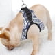 thumbnail image 3 of Correa De Pecho Para Arnés De Perro, Correa De Pecho Para Perro, Tela De Poliéster Con Núcleo De Esponja Transpirable Suave Y Ligera Para Perro De Pecho De Mascota Ccdes Otros, 3 of 8