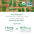 thumbnail image 4 of Amazing Grass Wheat Grass Powder: 100% Whole-Leaf Wheat Grass Powder for Energy, Detox & Immunity Support, Chlorophyll Providing Greens, 100 Servings, 4 of 10