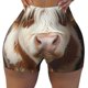 thumbnail image 2 of Fotbe Cow With Butterflies Shorts Sin Costuras – Shorts Deportivos de Cintura Alta para Mujer, Elásticos para Gimnasio, Yoga, Running o Ciclismo-Medium, 2 of 8