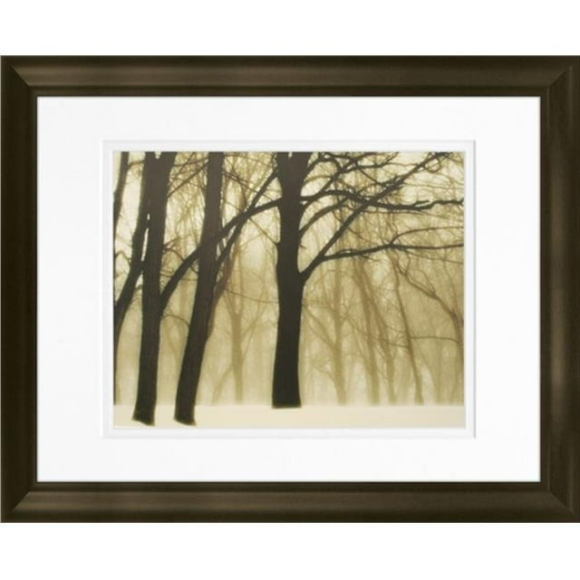 Timeless Frames 55277 Cadre Photo Rêves Passés, 11 x 14 Po