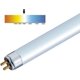 thumbnail image 4 of 26-27 T5 High Efficiency 840 Cool White Fluorescent 549mm Tube 4000k HE (FH1840), 4 of 5