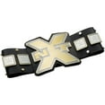 WWE NXT Championship Belt