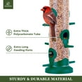 thumbnail image 6 of Kingsyard 2 Pack Wild Bird Feeders for Outdoors Hanging, Plastic Tube Feeder, 6 Feeding Ports, Green, 6 of 7