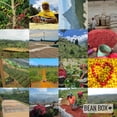 thumbnail image 6 of Brazil Canaan Estate - Roasted by Middle Fork Roasters - Freshly Ground Coffee - 2lb Bag, 6 of 7