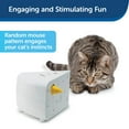 thumbnail image 2 of PetSafe® Cheese Automatic Cat Toy, 2 of 4