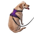 thumbnail image 2 of Balery Purple Glitter Arnés para Perros Grandes Antitirones, Arnés con Correa para Gato, Arnés Tipo Chaleco para Perros Pequeños-Small, 2 of 6