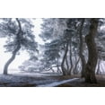 thumbnail image 2 of Seo, Tiger 18x13 Black Ornate Wood Framed with Double Matting Museum Art Print Titled - Hoarfrost on the tree, 2 of 4