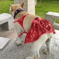 thumbnail image 2 of TNOBHG Pet Bikini Dog Swimsuit Pet Bikini Swimsuit Sequin Decorated Dog Cat Bathing Suit for Summer Breathable Lace-up Beach Dressing Outfit Easy to Wear, 2 of 8