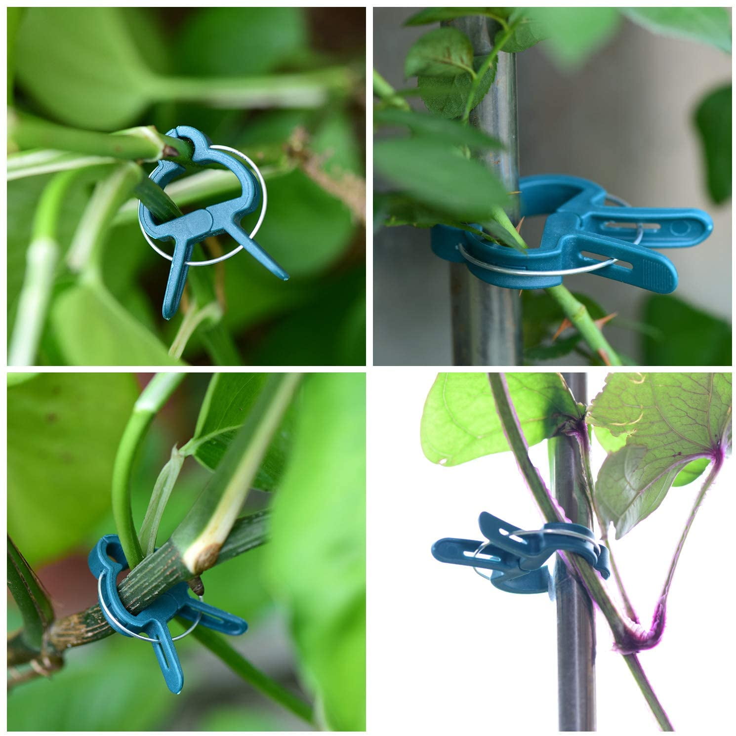 160 Pièces Pinces à Plantes De Jardin Clips De Support Réglable Pour