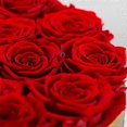 thumbnail image 3 of Preserved Flower Eternal In Box Set Wedding Mothers Day Christmas Valentine Anniversary Forever Lov Fule53 f74, 3 of 4