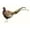 Unframed, variant on Art.com Watercolor Pheasant II Stretched Canvas Print Wall Art by Grace Popp, 36" x 24"