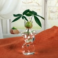 thumbnail image 4 of Macetas hidropónicas de cristal para jardín interior. Jarrón moderno para cultivar plantas y decorar el hogar., 4 of 6