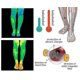 thumbnail image 3 of Calcetines de fisioterapia antiedema de tobillo, 3 piezas, calcetines moldeadores con autocalentamiento y circulación térmica, 3 of 3