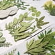 thumbnail image 4 of Hojas secas naturales DIY Hecho a mano artesado planta de hojas prensadas de hojas Decoración de la casa decorativa para tarjetas de boda Resina Vela verde hoja 12 Inevent HA012465-00, 4 of 7