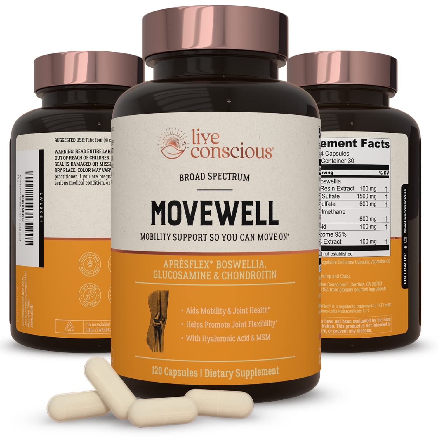 Glucosamine Chondroitin with MSM, Hyaluronic Acid, and More MoveWell
