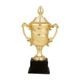 thumbnail image 2 of Hellery Gold Award Trophy Trophy Cup Office Reward Participation Appreciation Gift Award Ceremony Soccer Football League Match Trophy 24cm, 2 of 8