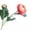 Pink, variant on Realistic Fake Flower Artificial Ranunculus Asiaticus 2 Head Realistic Fake Silk Flower with Stem for Home Office Wedding Party Table Centerpiece Vase