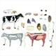 thumbnail image 5 of Modelo de Anatomía de Órganos Animales 4D, Juguete de Ensamblaje de Inteligencia de Vaca, Modelo de Anatomía de Enseñanza, Animal Modelo Ensamblado de Vaca, 5 of 5