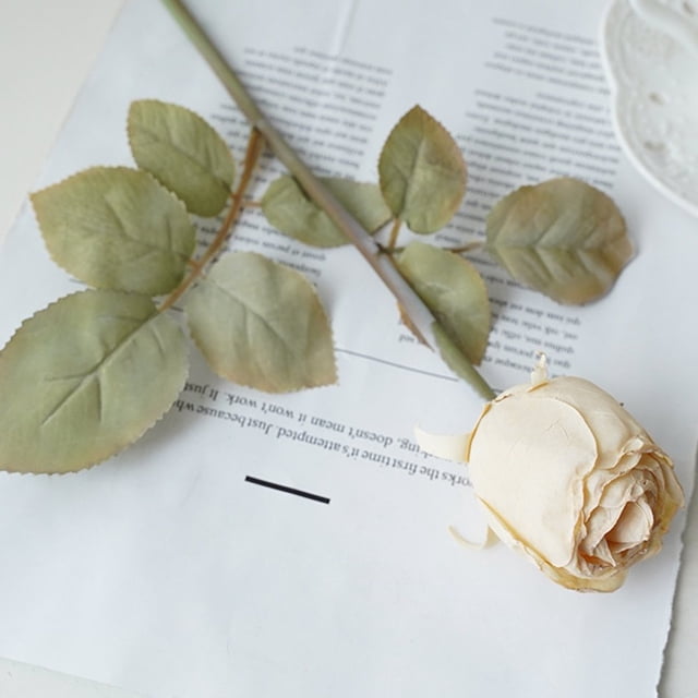 Fake Rose 1Pc Photo Props Fadeless Delicate 5 Colors Simulation Rose