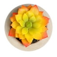 thumbnail image 3 of (2 pack) Mainstays 3.54" Artificial Succulent Plant in Cement Pot, Yellow & Orange, 3 of 7