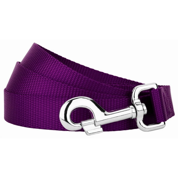Country Brook Petz® 5/8 inch Nylon Dog Leash - Purple, 6 Foot