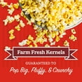 thumbnail image 6 of Franklin’s Gourmet Popcorn Classic Popping Kernels - 7lb. Tub, 6 of 6
