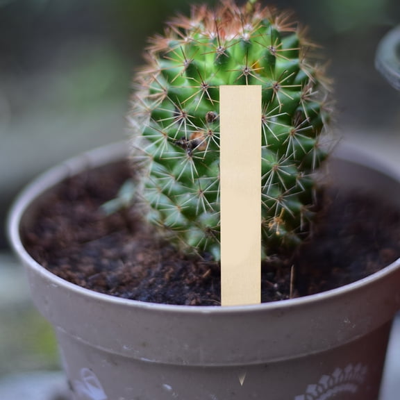 CATIEBYE Garden Label Stakes 30Pcs 15x2in Modern Style Wooden Markers