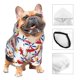thumbnail image 3 of Balery Cartoon Helicopter Sudadera con Capucha para Perros Pequeños – Ropa para Mascotas, Disfraz para Perros y Gatos, Ideal para Fiestas y Cosplay-Small, 3 of 7