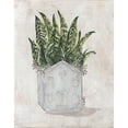 thumbnail image 3 of Norkus, Julie 20x24 Black Modern Framed Museum Art Print Titled - House Plant, 3 of 5