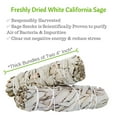 thumbnail image 4 of WHITE SAGE SMUDGE Sticks - 2, 3, 5 Pack Organic Sage Bundles Smudging Sticks, Sustainable, Fresh & Thickly Wrapped, High Grade Sage!, 4 of 9