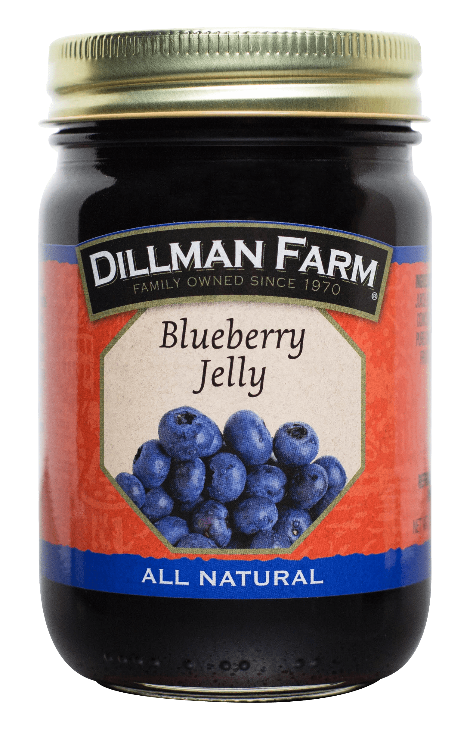 Dillman Farm Blueberry Jelly Pack of 6
