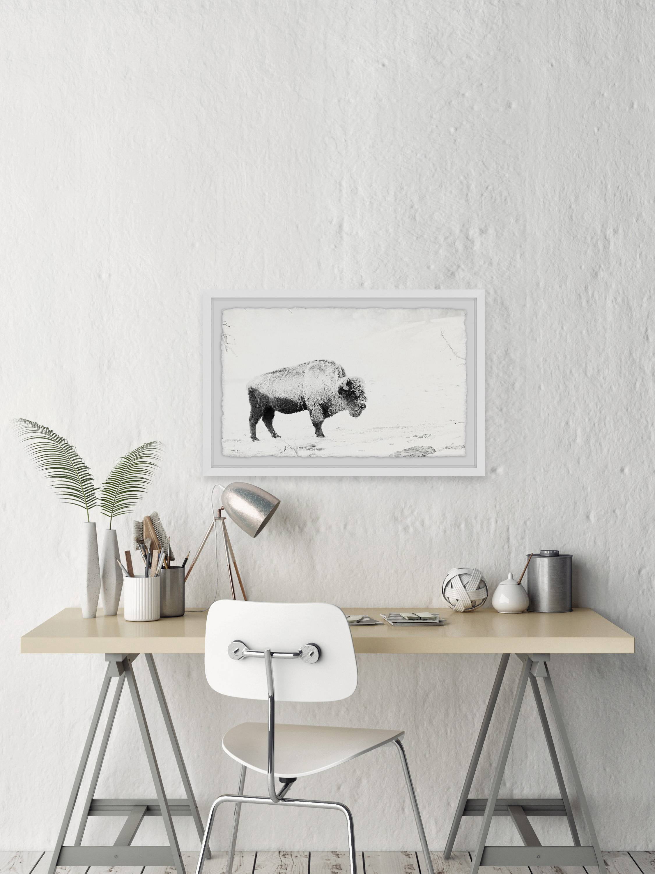 Marmont Hill Grazing Bison Framed Wall Art, 24" x 36"