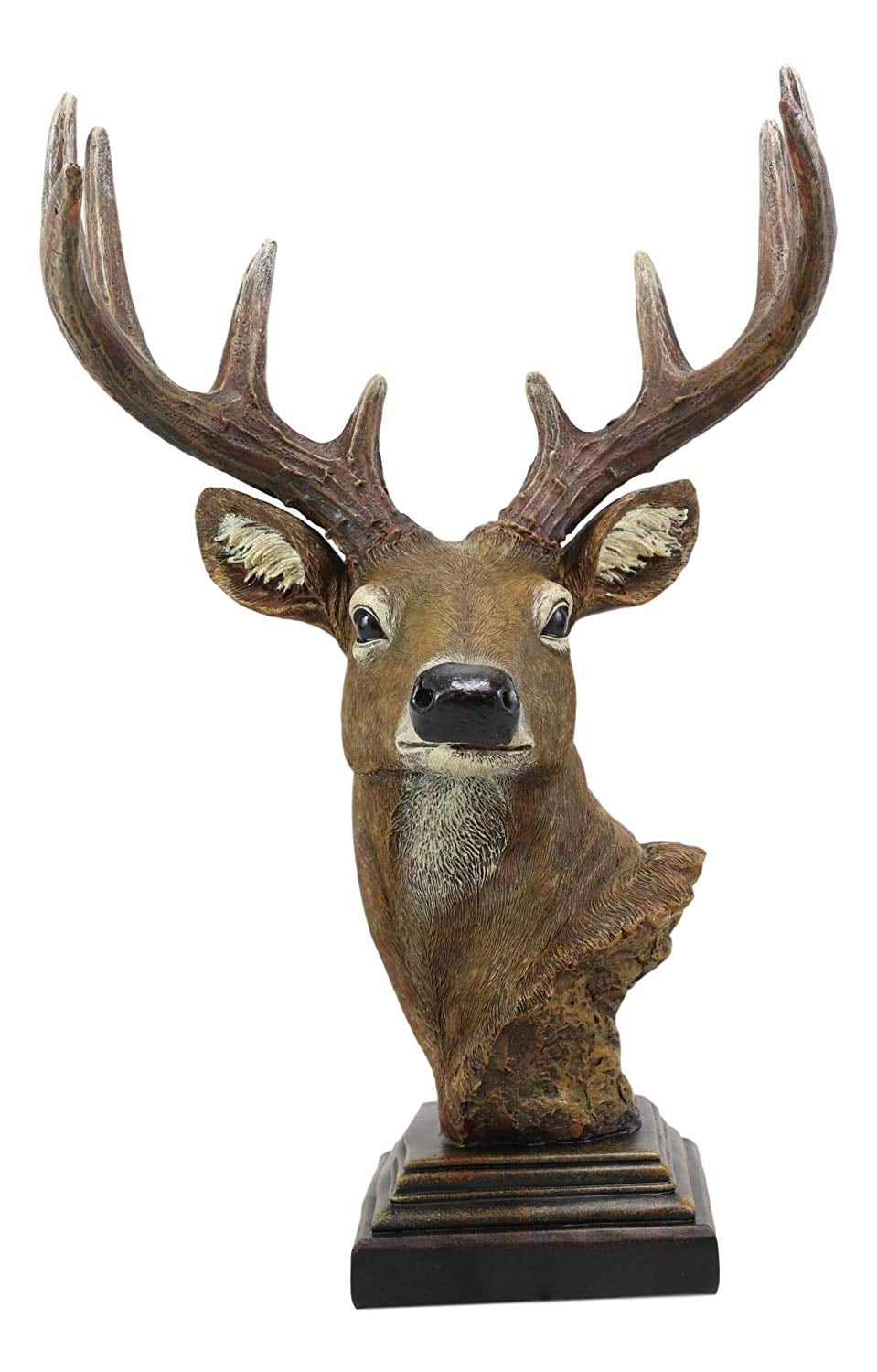 Ebros Gift Large Rustic Wild Forest Woodland 10 Point ...