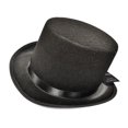 thumbnail image 1 of Top Hat, 1 of 1