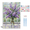 Bloom Stillness, variant on Paint by Numbers Kit Adults - Framed Window Aster Vase DIY Oil Paintings Colorful Floral Canvas Art Painting Kits for Beginners Family Friends Holiday Craft Artwork Home Wall Decor