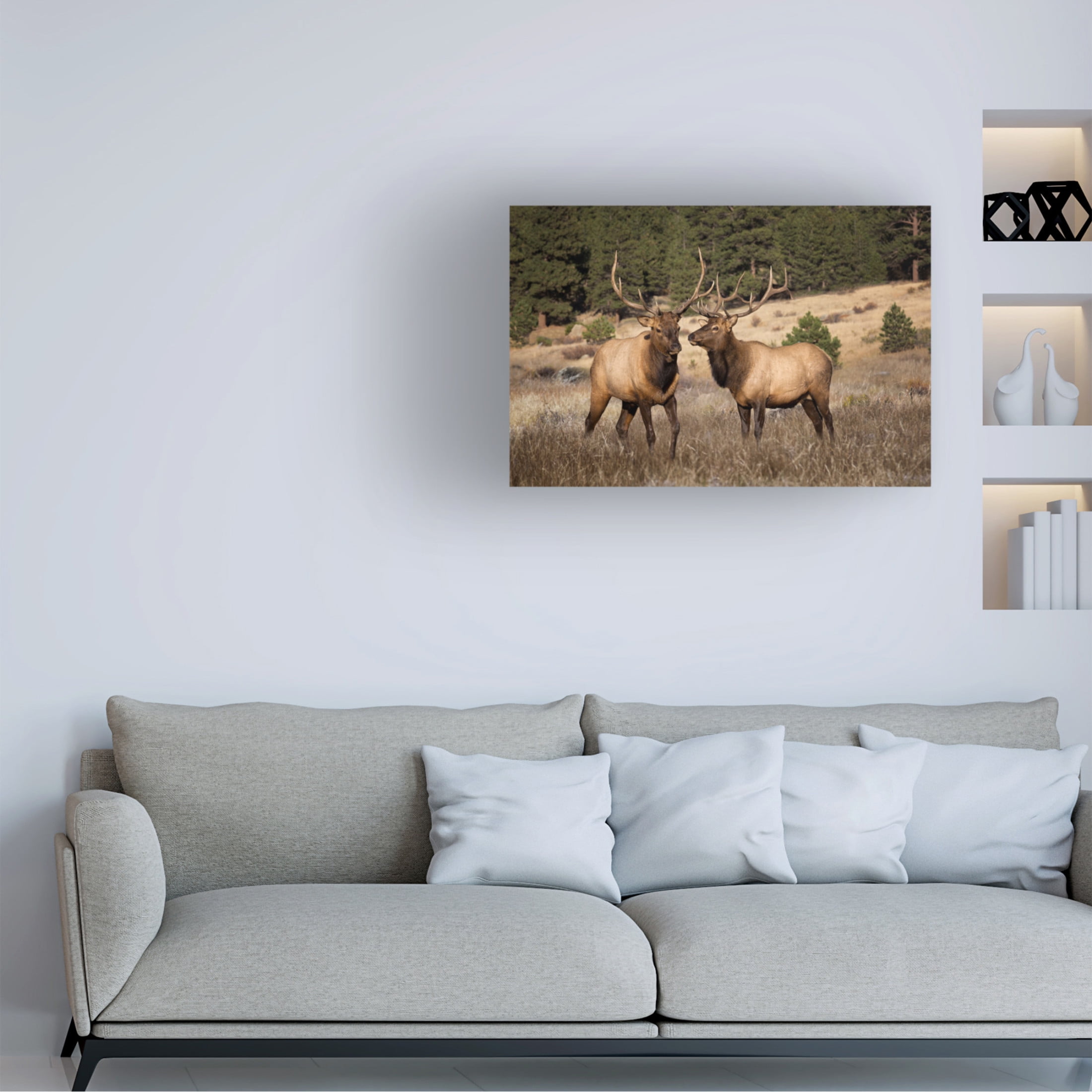 Trademark Fine Art David Drost Two Elks II Canvas Wall Art
