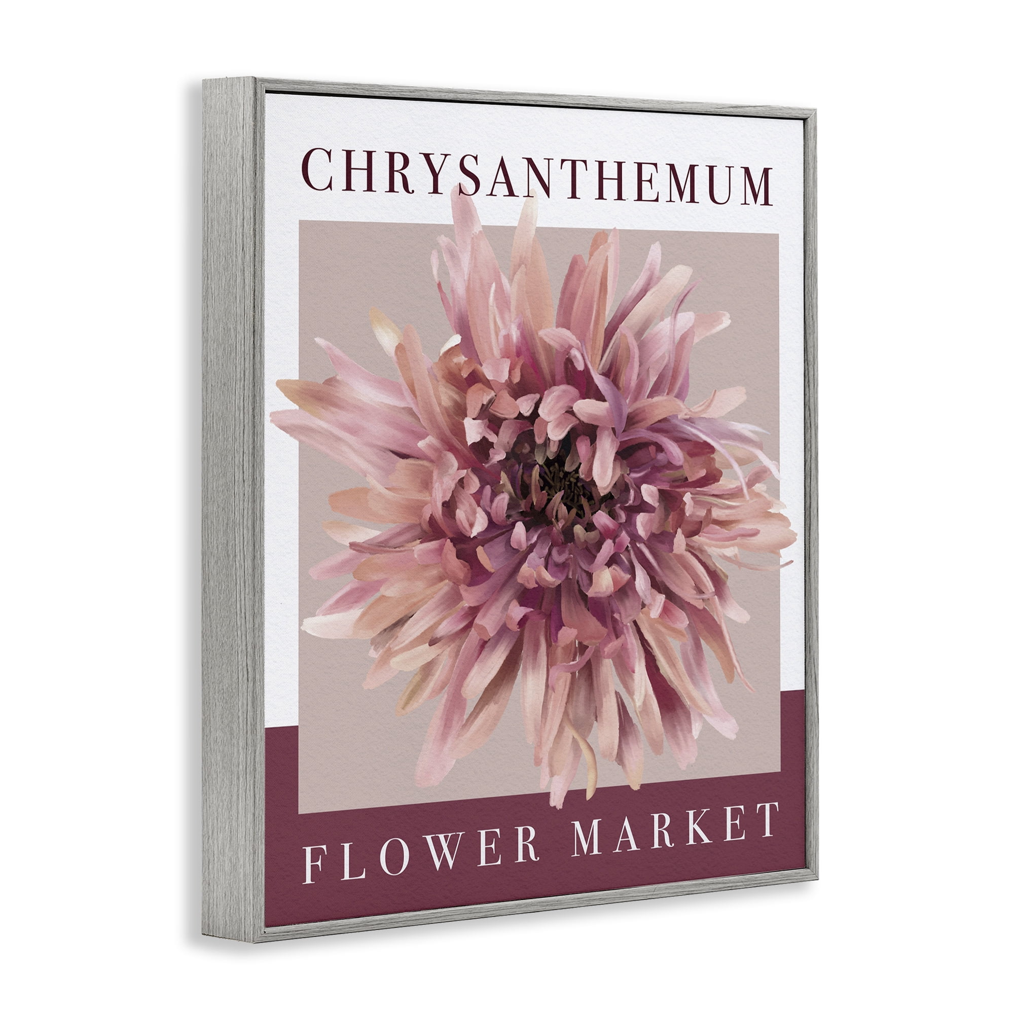 Stupell Industries Chrysanthemum Flower Market Gray Framed Giclee Art, design by Jennifer Stith