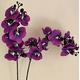 thumbnail image 1 of Xiao Hua 3 flores artificiales de orquídea polilla, flores falsas, flores artificiales para decoración de bodas, 1 of 5