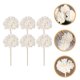 thumbnail image 2 of 6Pcs Flower Reed Diffuser Sticks Natural Rattan Reed Essential Oil Aroma Diffuser Sticks, 2 of 2
