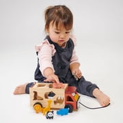 Mentari Toys - Explorer's Sorting and Stacking Bundle