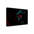 thumbnail image 2 of Eva Bane 'Neon Glow in the Dark 01' Canvas Art, 2 of 3