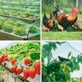 thumbnail image 6 of Bird Netting, Garden Netting Plant Cover Netting,Anti Bird Netting Poultry Netting for Protecting Vegetables, Fruits and Plants, 6 of 7