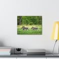 thumbnail image 4 of Funny Warthog Silly Warthog Scene Couple Wall Art Ready to Hang Unframed, 4 of 18